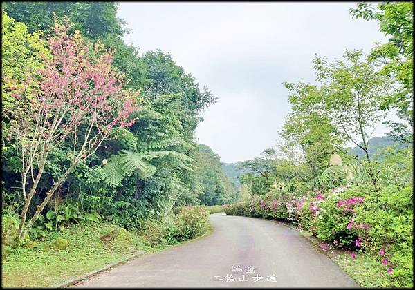 二格山步道_044.jpg