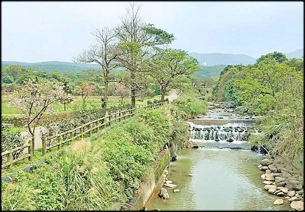 三芝櫻花水車公園_038.jpg