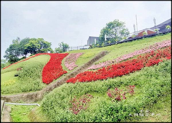 樟樹步道_020.jpg