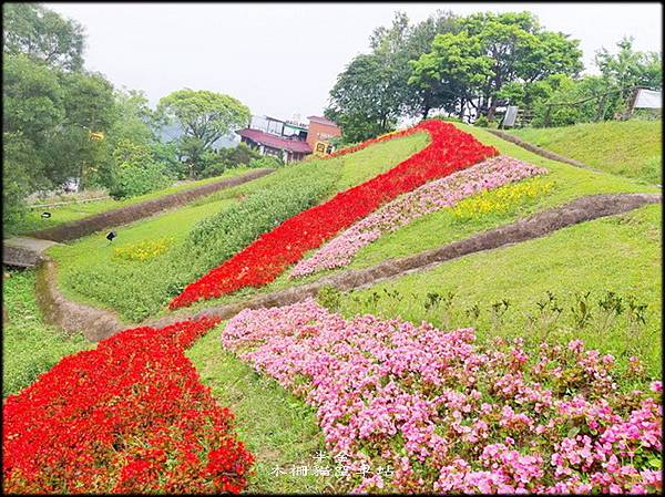 樟樹步道_023.jpg