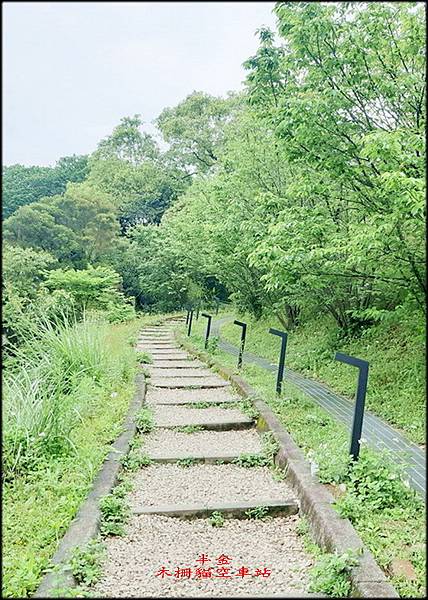 樟樹步道_041.jpg