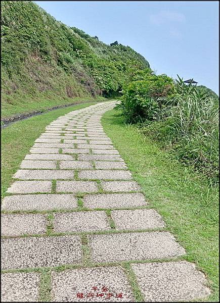 龍洞岬步道_021.jpg