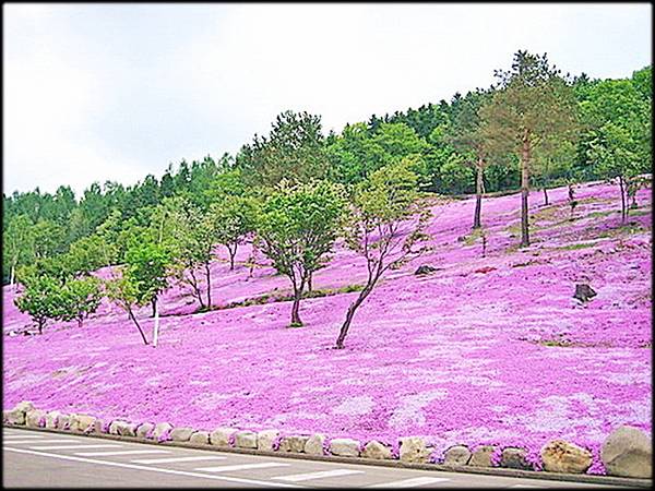 北海道七日遊-2_021.jpg