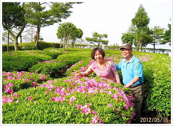 鹿兒島、宮崎五日遊-〈2〉_0010.jpg