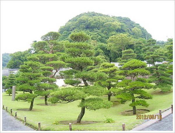 鹿兒島、宮崎五日遊-〈2〉_0094.jpg