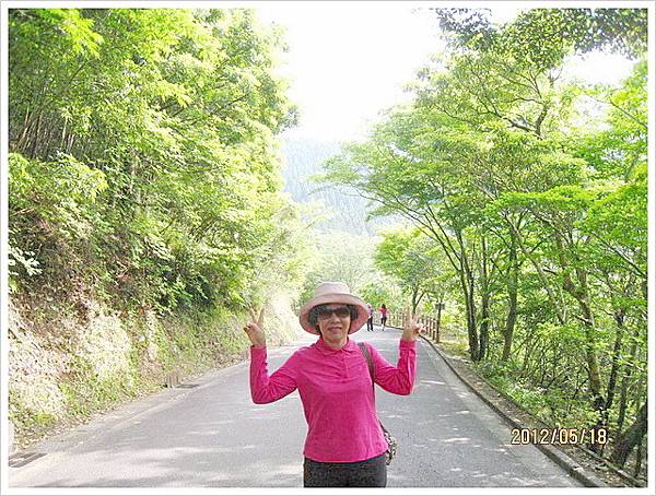 鹿兒島、宮崎五日遊-〈4〉_0446.jpg