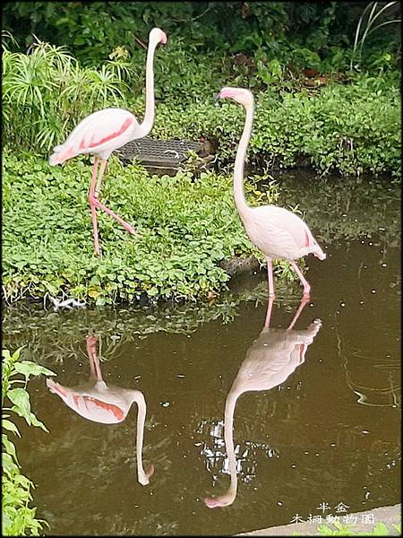 木柵動物園_003.jpg