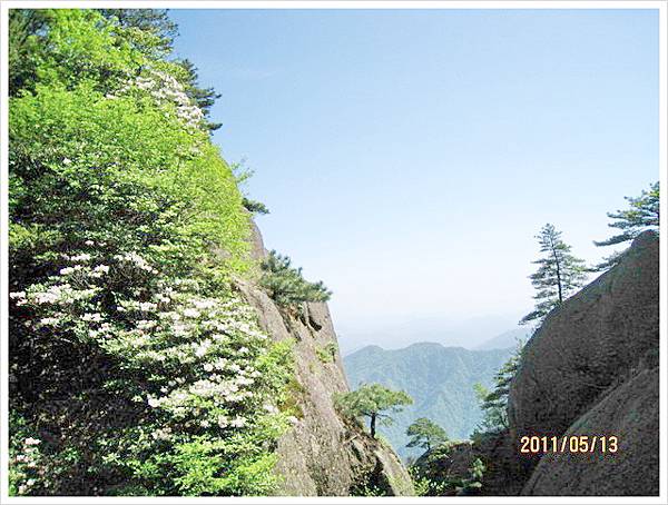 大陸黃山六日遊_096.jpg