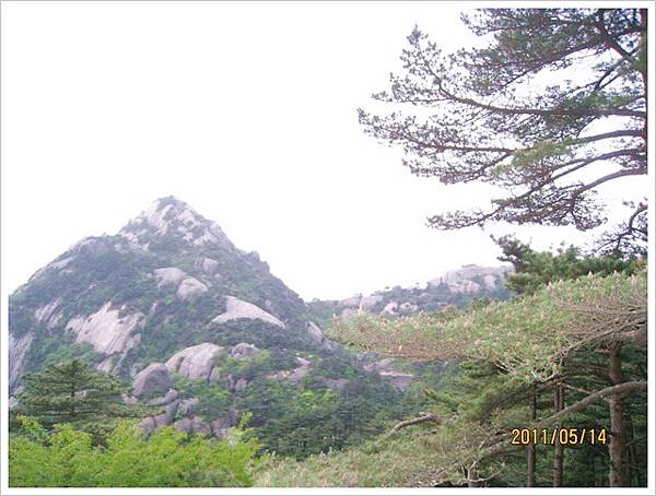 大陸黃山六日遊_261.jpg