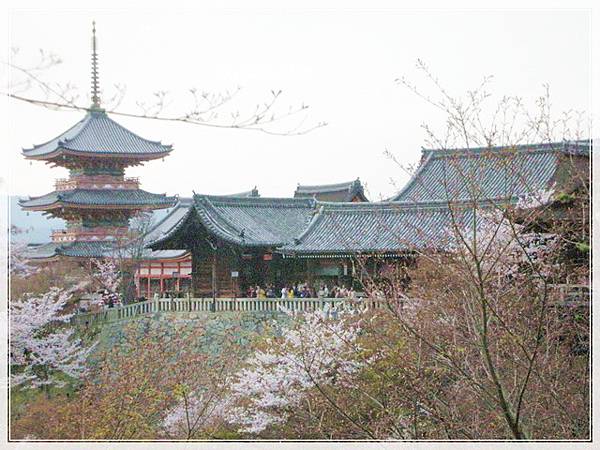 京都大阪羨櫻情-1_012.jpg