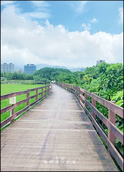 舊雙溪河步道_032.jpg