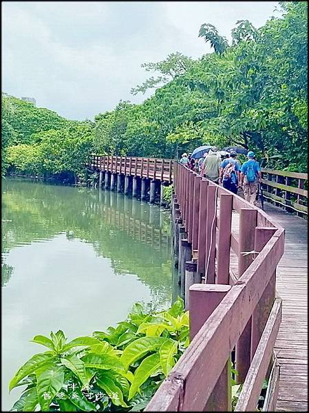 舊雙溪河步道-1_010.jpg