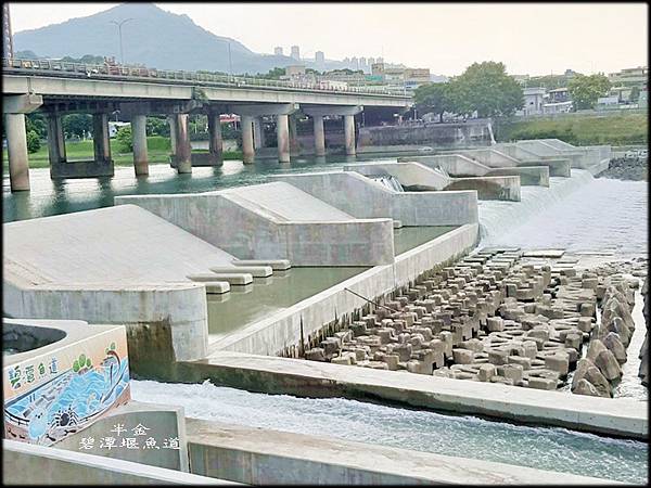 碧潭堰魚道_015.jpg