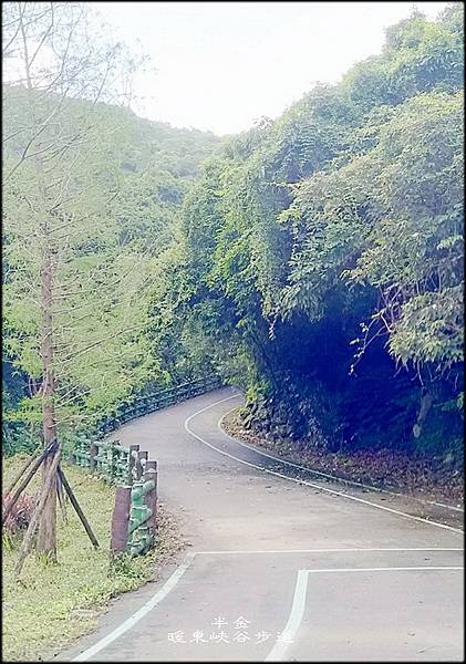 暖東峽谷步道-1_009.jpg