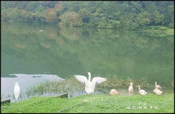 梅花湖風景區-2_001.jpg