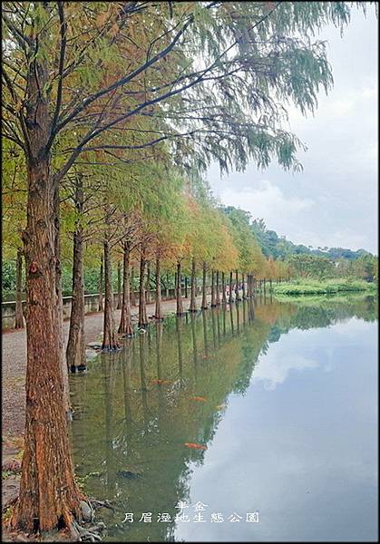 月眉溼地生態公園_025.jpg