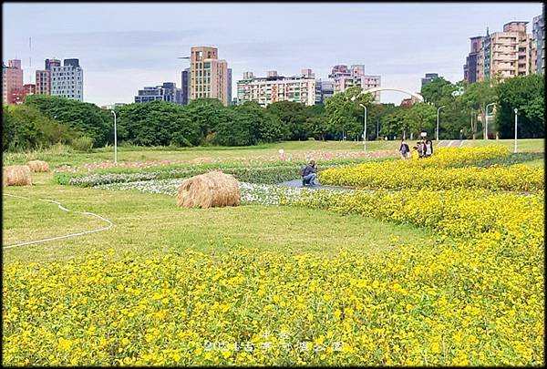 2024古亭河濱公園賞花_024.jpg