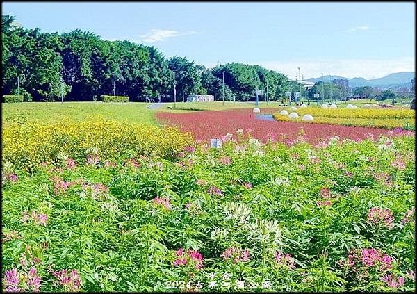 2024古亭河濱公園賞花-1_040.jpg