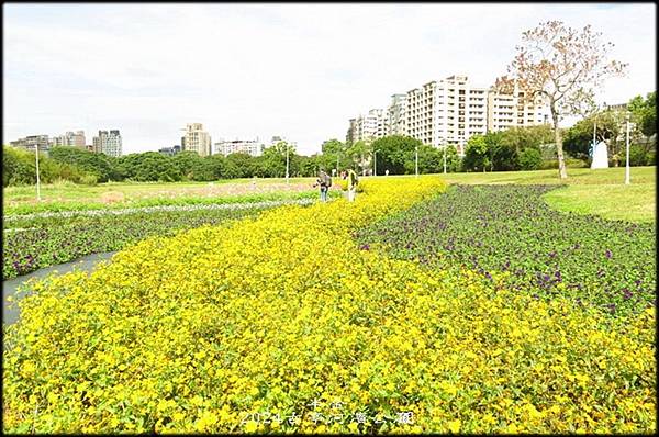 2024古亭河濱公園賞花-2_005.jpg