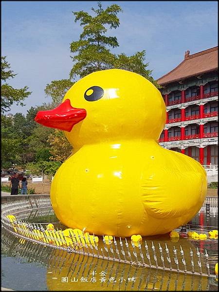 圓山飯店黃色小鴨_043.jpg
