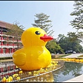 圓山飯店黃色小鴨_051.jpg