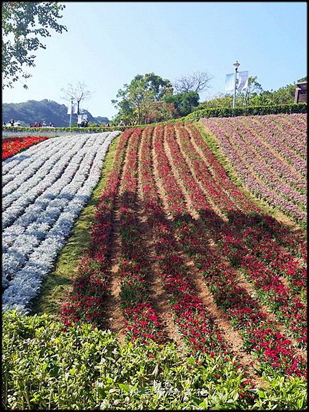 北投三層崎賞花_022.jpg