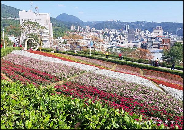 北投三層崎賞花_037.jpg