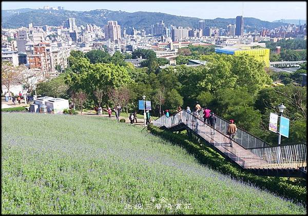 北投三層崎賞花_044.jpg