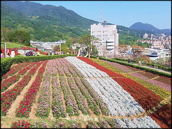 北投三層崎賞花_041.jpg