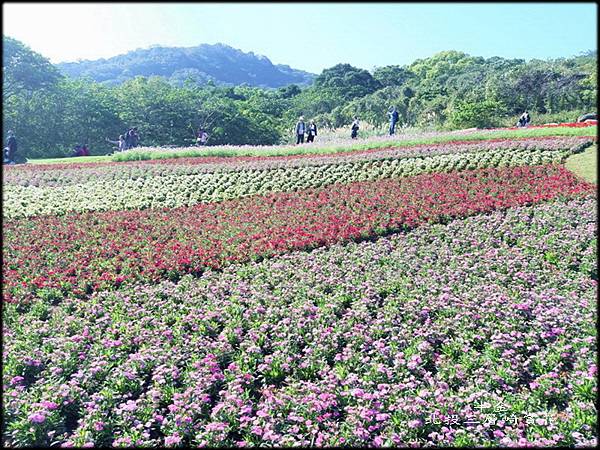 北投三層崎賞花_054.jpg