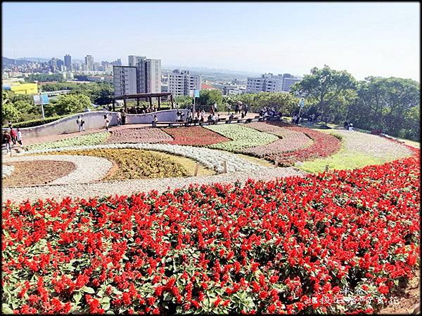 北投三層崎賞花_058.jpg