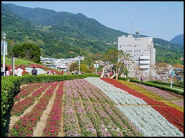 北投三層崎賞花-1_006.jpg