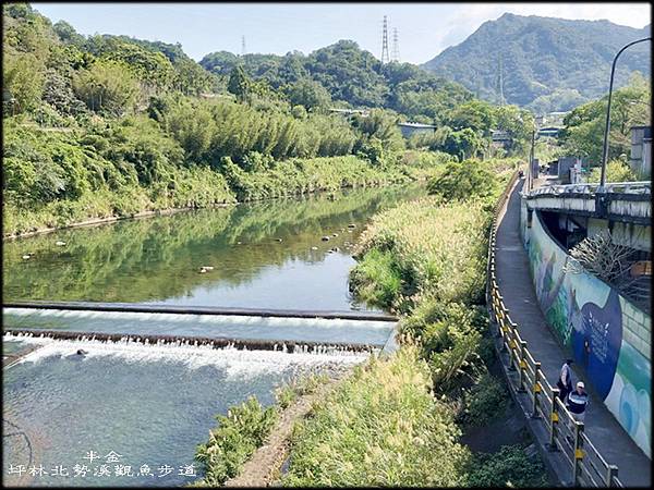 坪林北勢溪觀魚步道_013.jpg