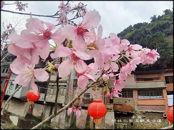 坪林北勢溪觀魚步道_094.jpg