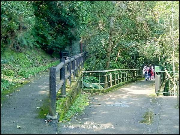 坪林北勢溪觀魚步道-1_026.jpg