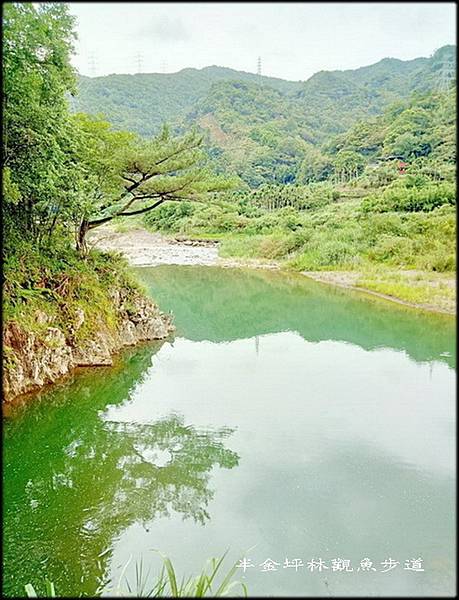 坪林北勢溪觀魚步道-3_004.jpg