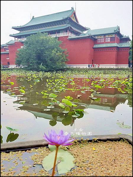 春天植物園_002.jpg