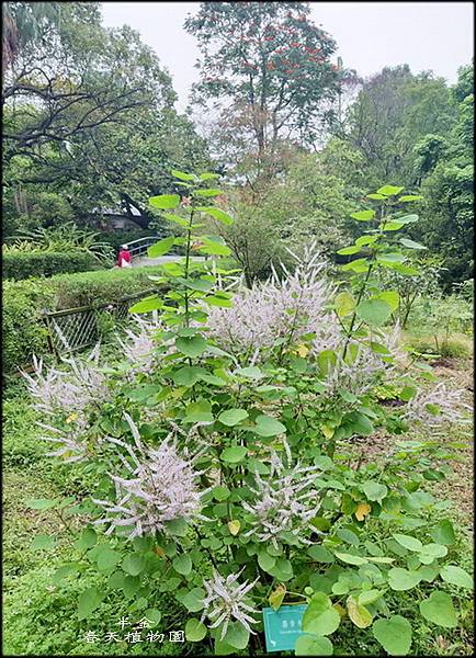 春天植物園_039.jpg