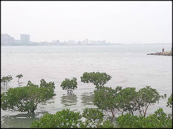 淡水金色水岸步道-1_028.jpg