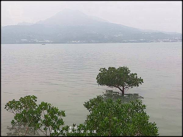 淡水金色水岸步道-1_027.jpg