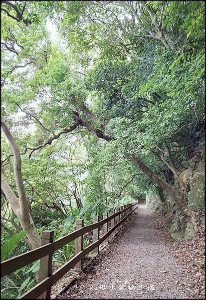 天母水管路步道_010.jpg