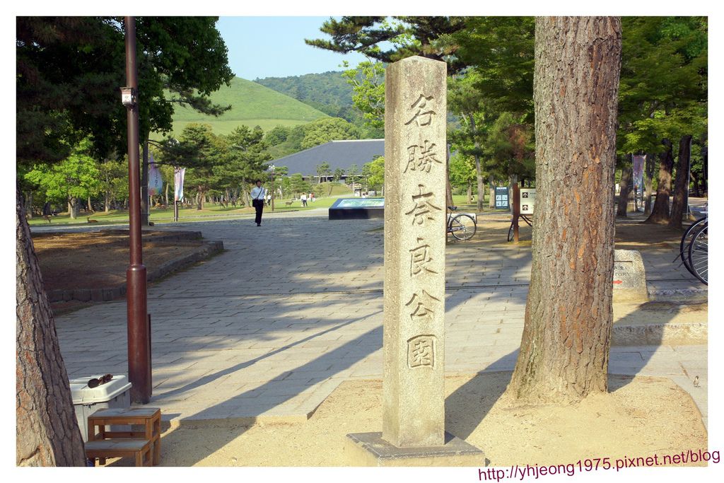 東大寺-奈良公園.jpg