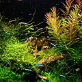 R0013148_resize.JPG
