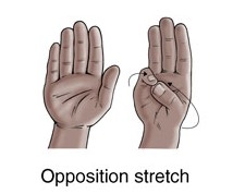 opposition stretch