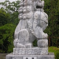 台灣獅