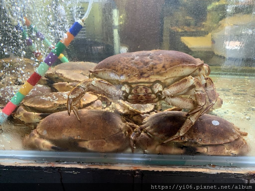 IMG_4980_12 IMG_4980_12