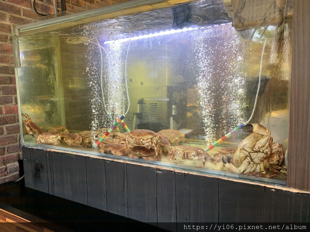 IMG_4979_14 IMG_4979_14