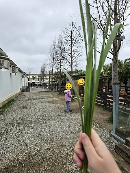 【新竹｜香山】新竹景點｜親子景點｜動物農場｜小型動物園｜狐蒙