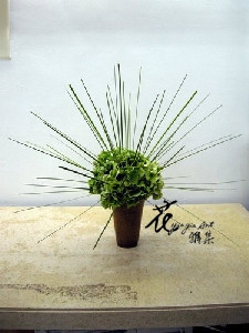 090902-1.jpg