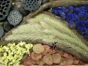 花藝設計師資.設計師專業課-高等科